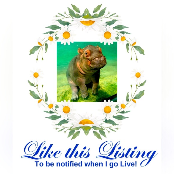 Dresses & Skirts - Live with Daisies4Ann!